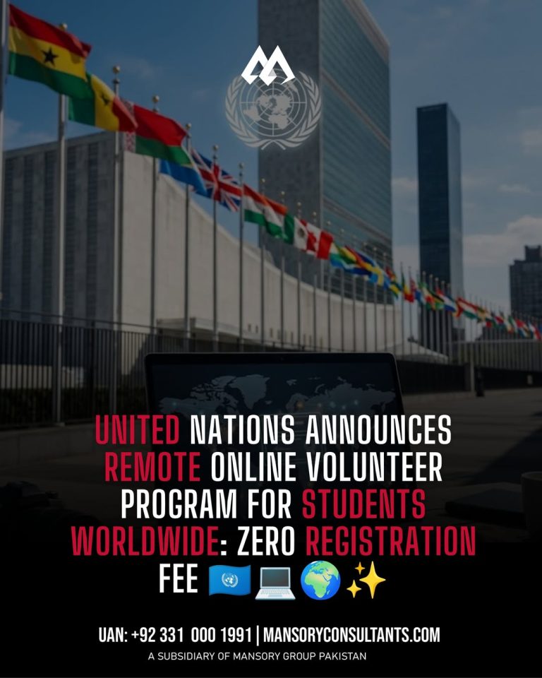 UN Online Volunteering Programme Application Guide
